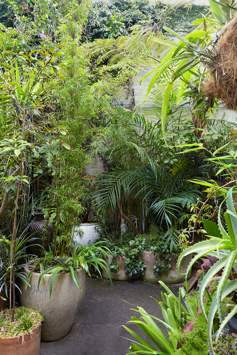 Hidden Urban Paradise: Jim Kumiega's Garden — Flora Grubb Gardens